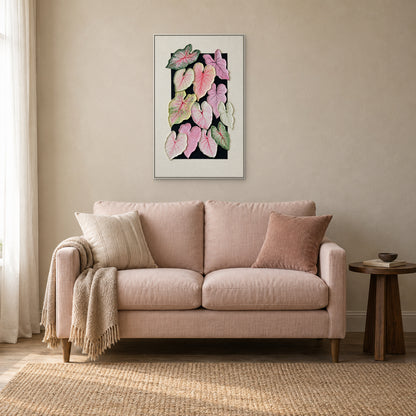 Feuilles de caladium dans un cadre flottant blanc, centrées au-dessus d’un petit canapé rose poudré près d’une table en bois foncé