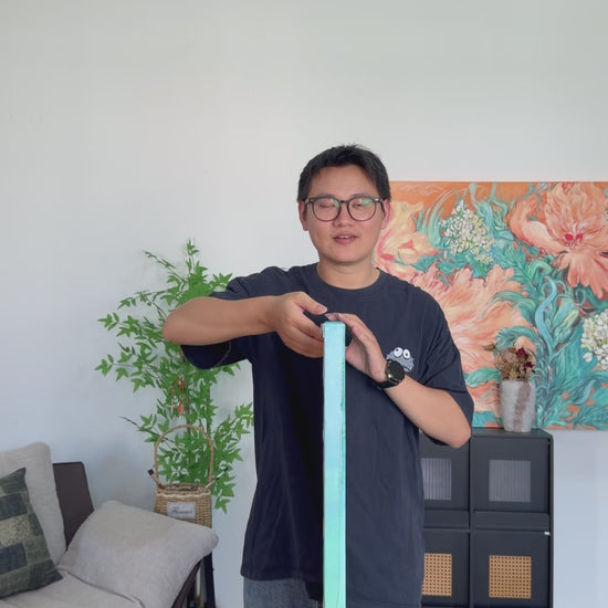 Workshop video showing the turquoise fish painting turning from its side to a complete front view